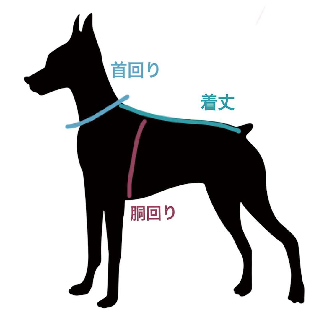 ⑱ボーダーショートスリーブ