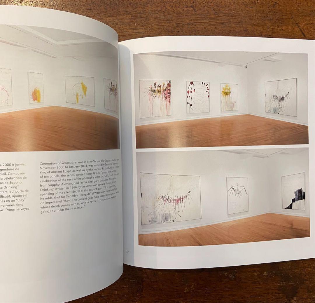 Cy Twombly 画集