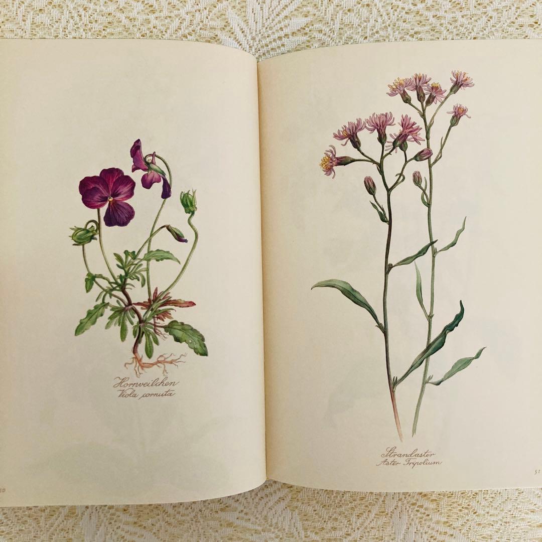 希少なヴィンテージ植物図鑑2巻セット　繊細で美しい植物画300点　洋書・古書