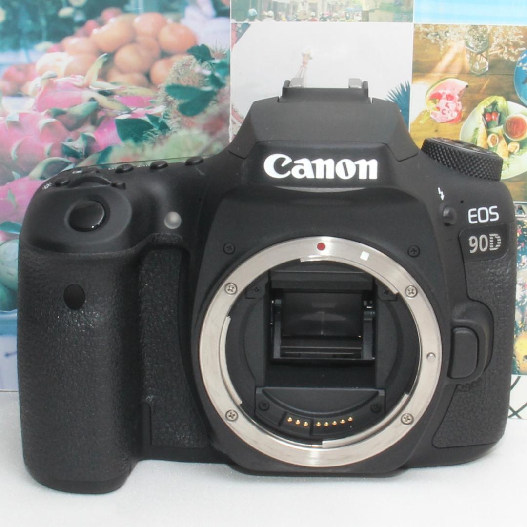 ❤️予備バッテリー付き❤️Canon EOS 90D 手振れ補正ダブルレンズ❤️