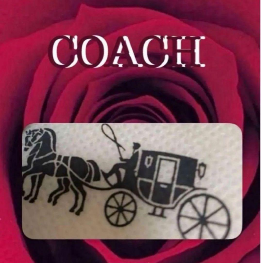 COACH長財布レインボーマルチカラーシグネチャーメンズレディース.ストラップ付