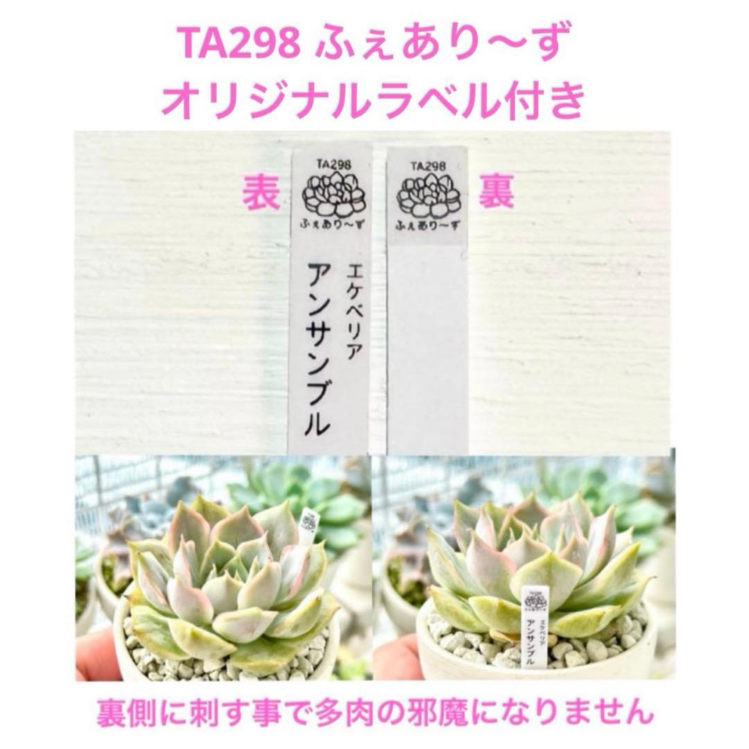 もも