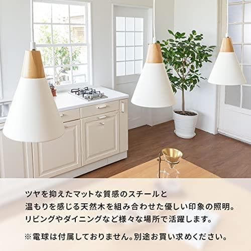 ぼん家具 ペンダントライト 北欧 天井照明 LED電球専用 1灯 直径20cmp