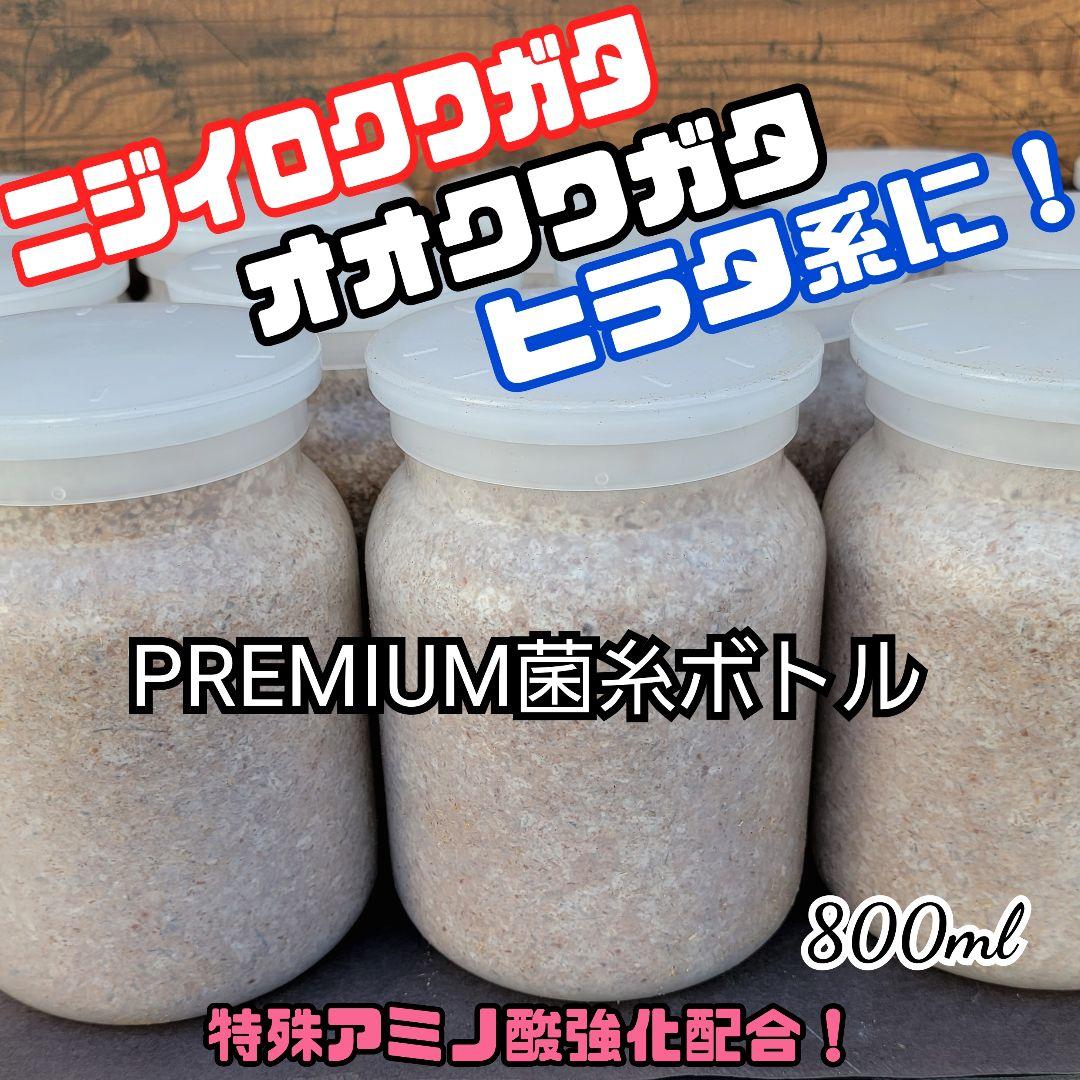 極上！ヒマラヤひらたけ菌糸瓶【１０本セット】トレハロース、キトサン強化配合！