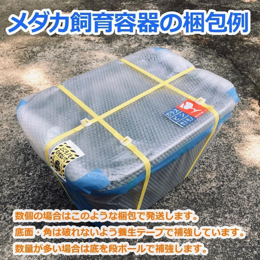メダカ飼育ケース 120㍑x3個 黒・濃緑あり オーバーフロー 金魚飼育 越冬