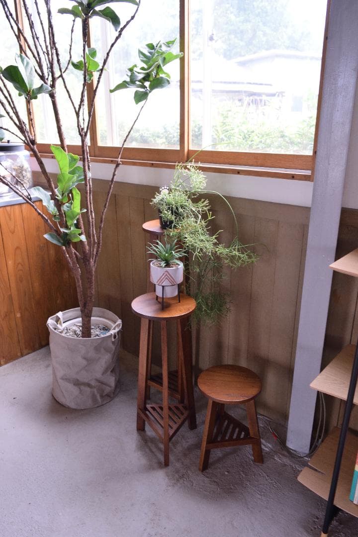 Lサイズ フラワースタンド 室内 木製 観葉植物 GUY-924 N01