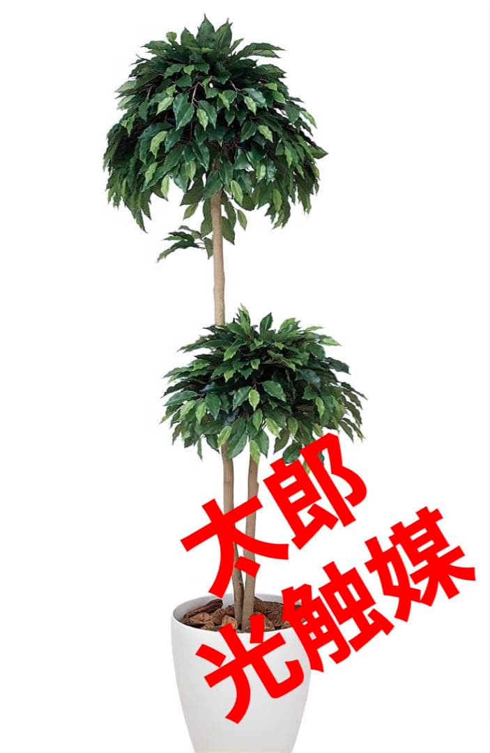 光触媒　人工観葉植物　フェイクグリーン　ベンジャミンダブル高さ1.6