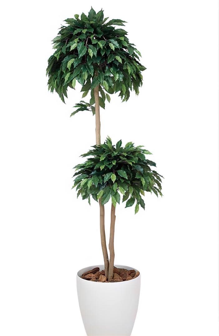 光触媒　人工観葉植物　フェイクグリーン　ベンジャミンダブル高さ1.6