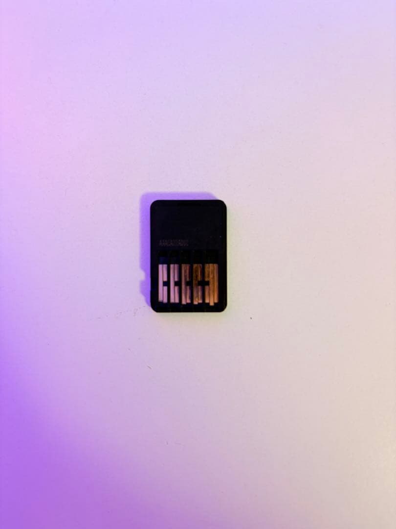 Nintendo Switch ゲームカードケース 黒　ソフト