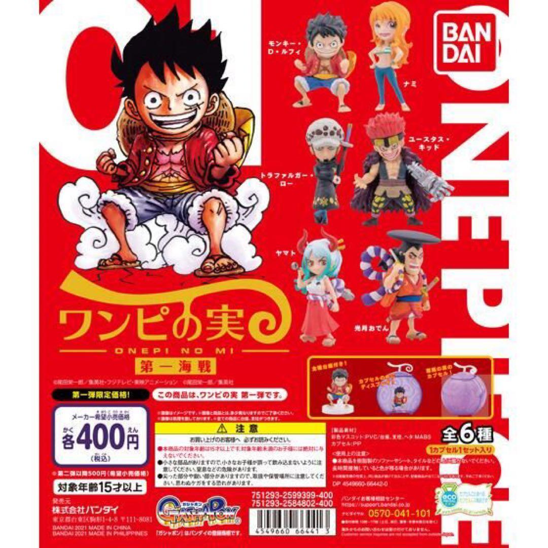 ワンピの実　　まとめ売り