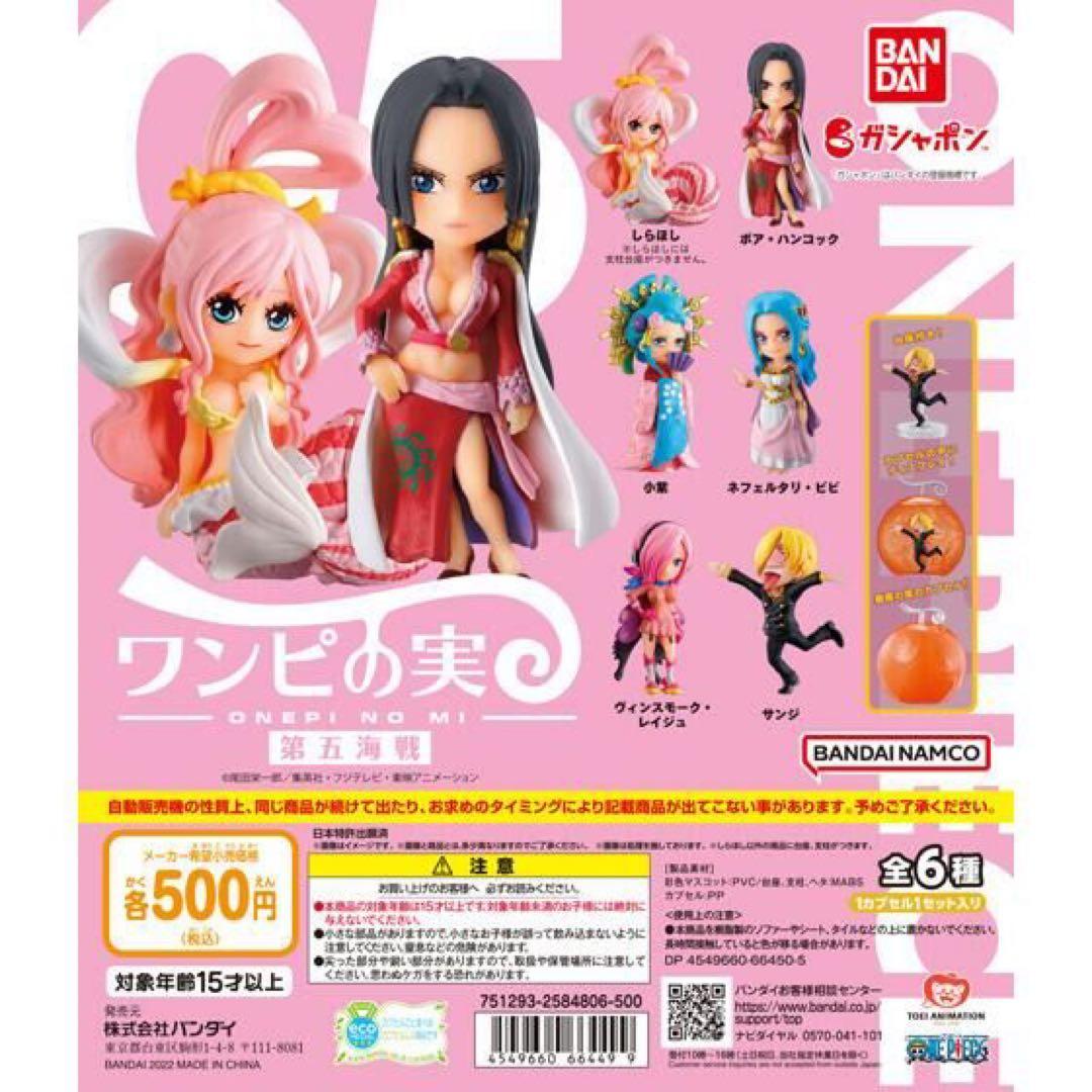 ワンピの実　　まとめ売り