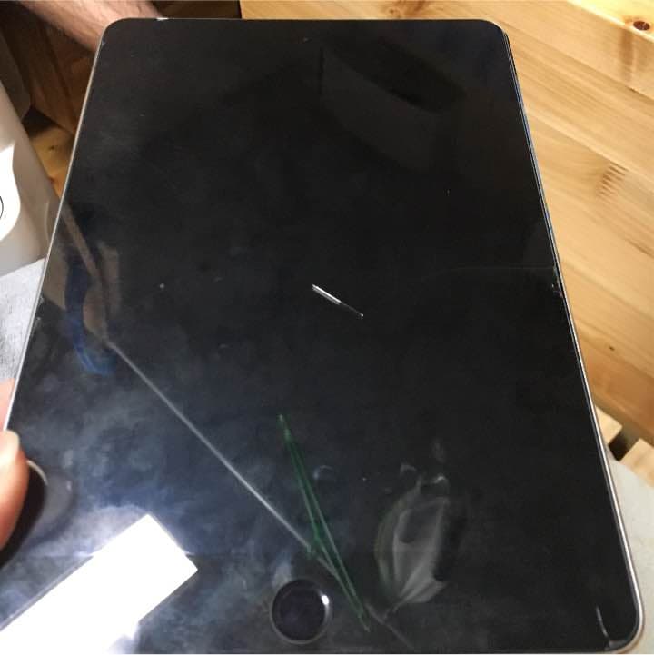 iPad本体 iPadmini