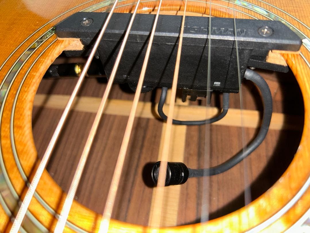 Taylor アコースティックギター ハードケース付 FISHMAN GOTOH