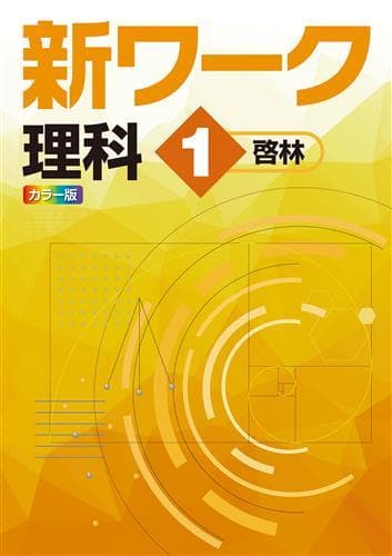 【新品未使用 中１セット】新ワーク 改定最新版