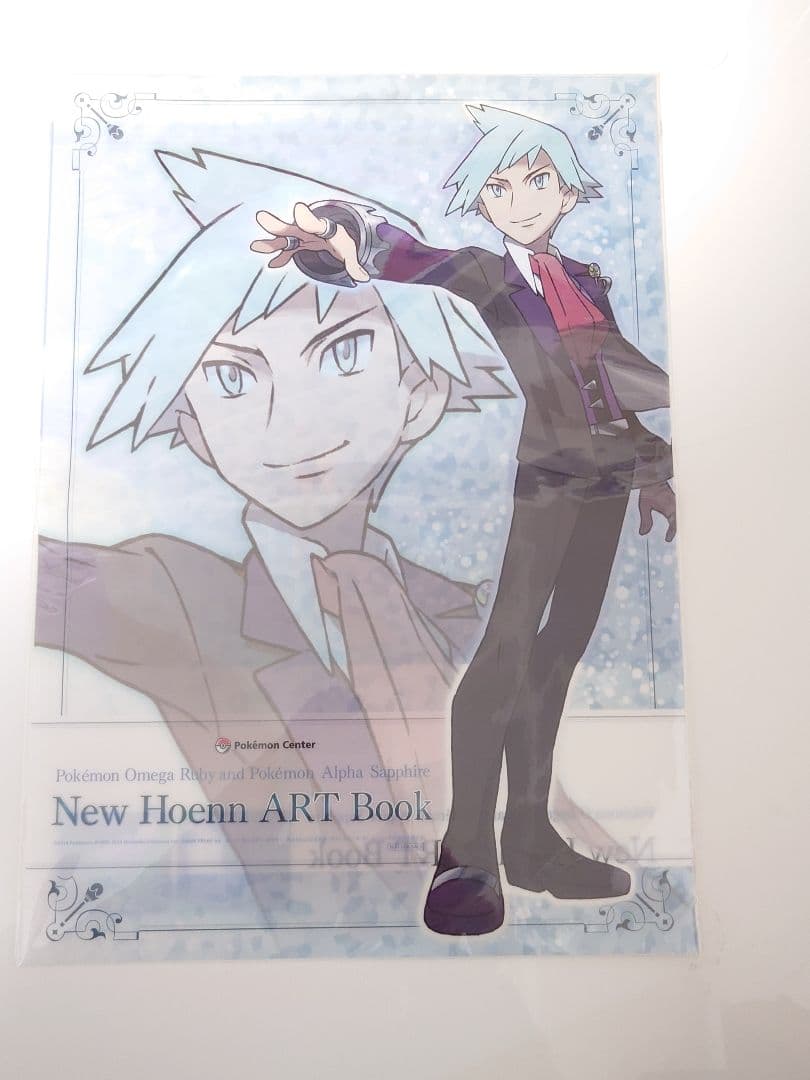 ポケモンオメガルビー・アルファサファイア　New Hoenn ART Book