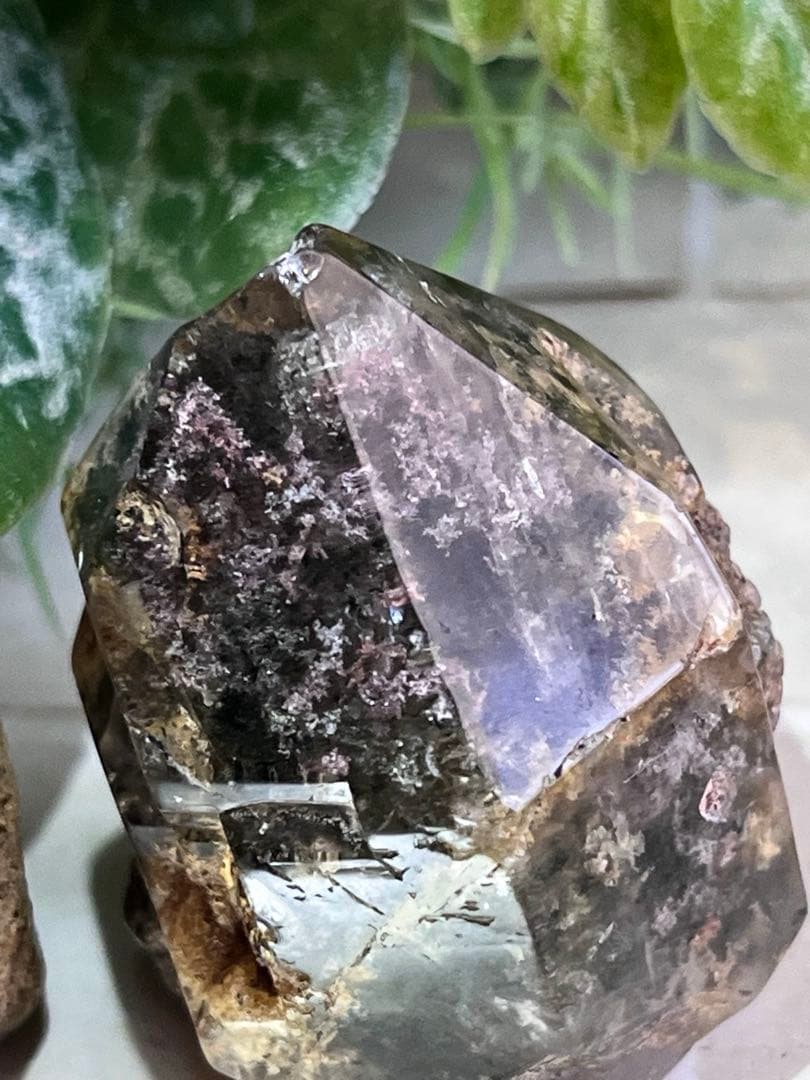 原生林のガーデンクォーツ✴︎　ポリッシュ　ポイント　苔入り水晶　クリスタル　原石