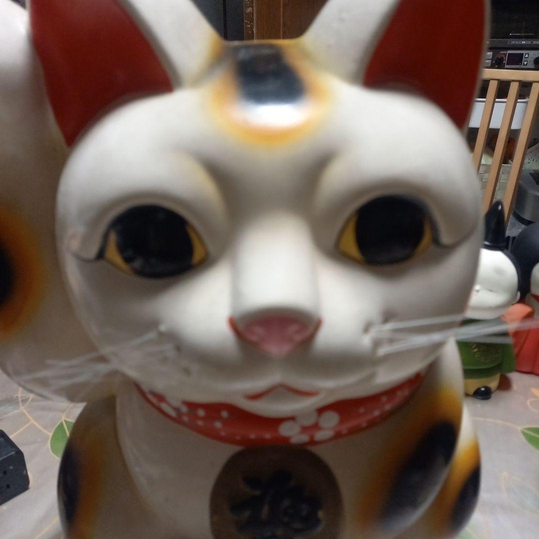 招き猫 約34cm 常滑の、金運上昇猫の置物