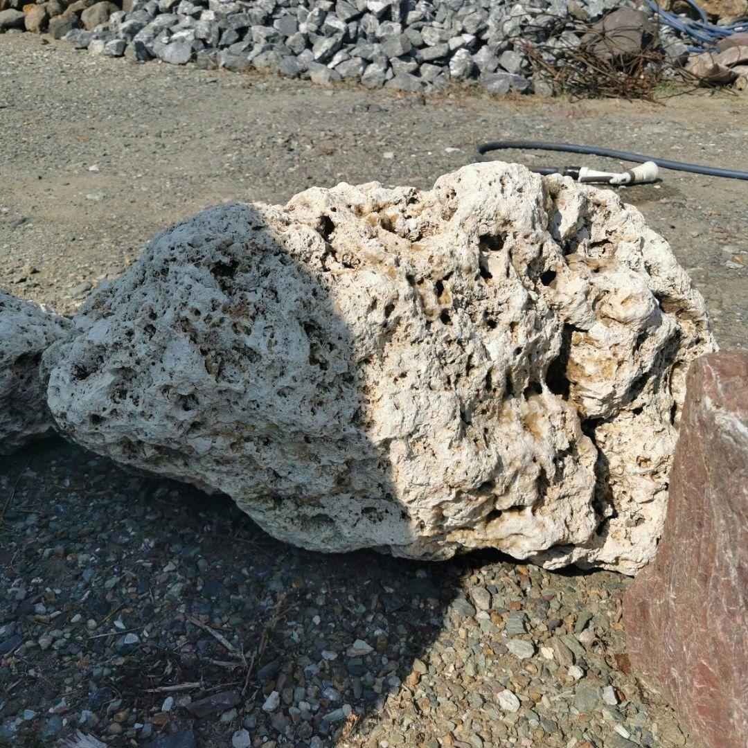 サンゴ石　119キロ　庭石　石　鑑賞石 石材　庭　ガーデニング　置物　オブジェ