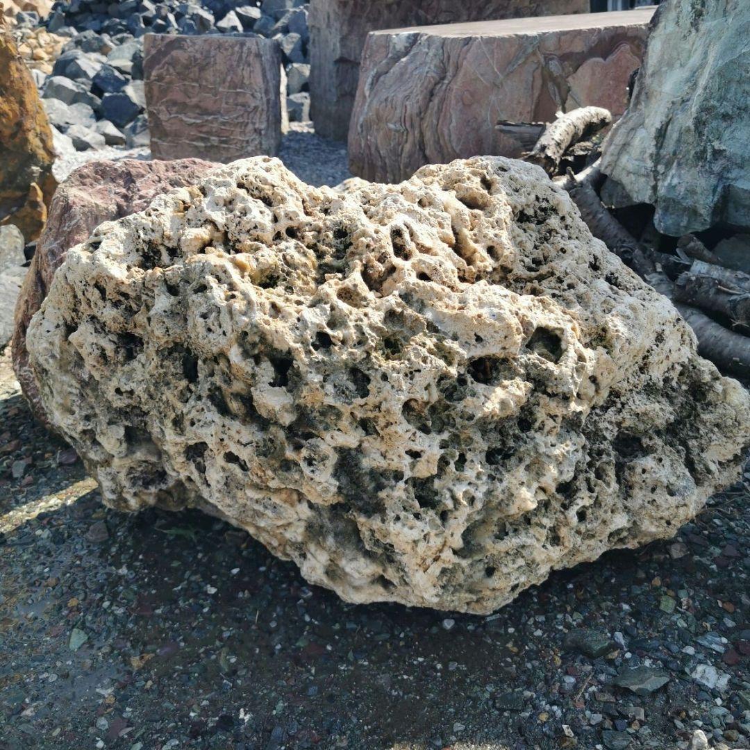 サンゴ石　119キロ　庭石　石　鑑賞石 石材　庭　ガーデニング　置物　オブジェ
