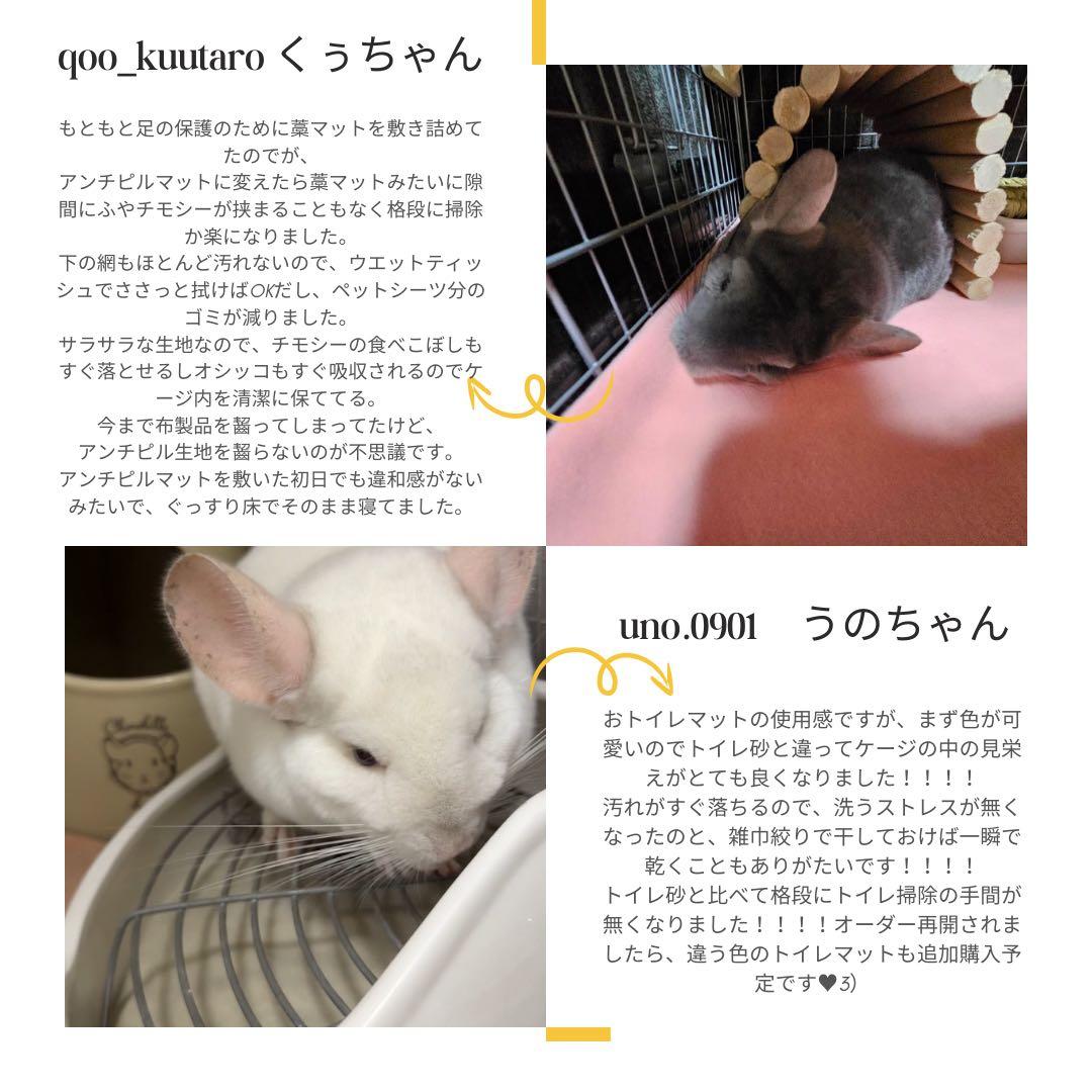 J様専門