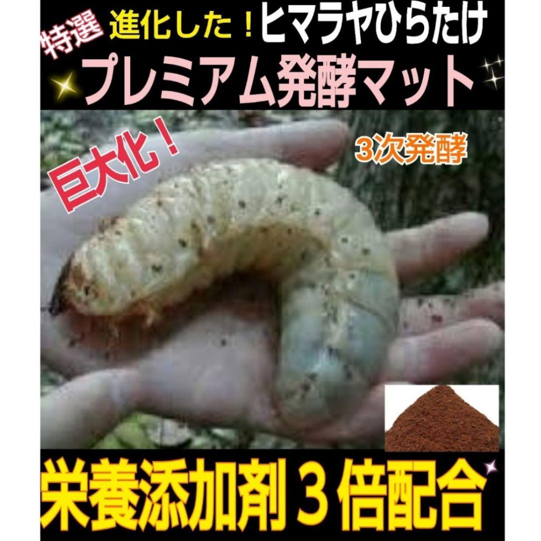 特選！プレミアム3次発酵カブトムシマット【40L】トレハロース強化配合！産卵にも