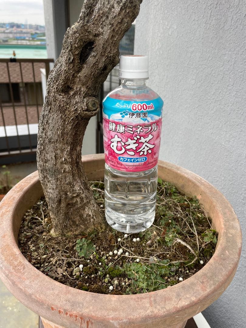 PALページ