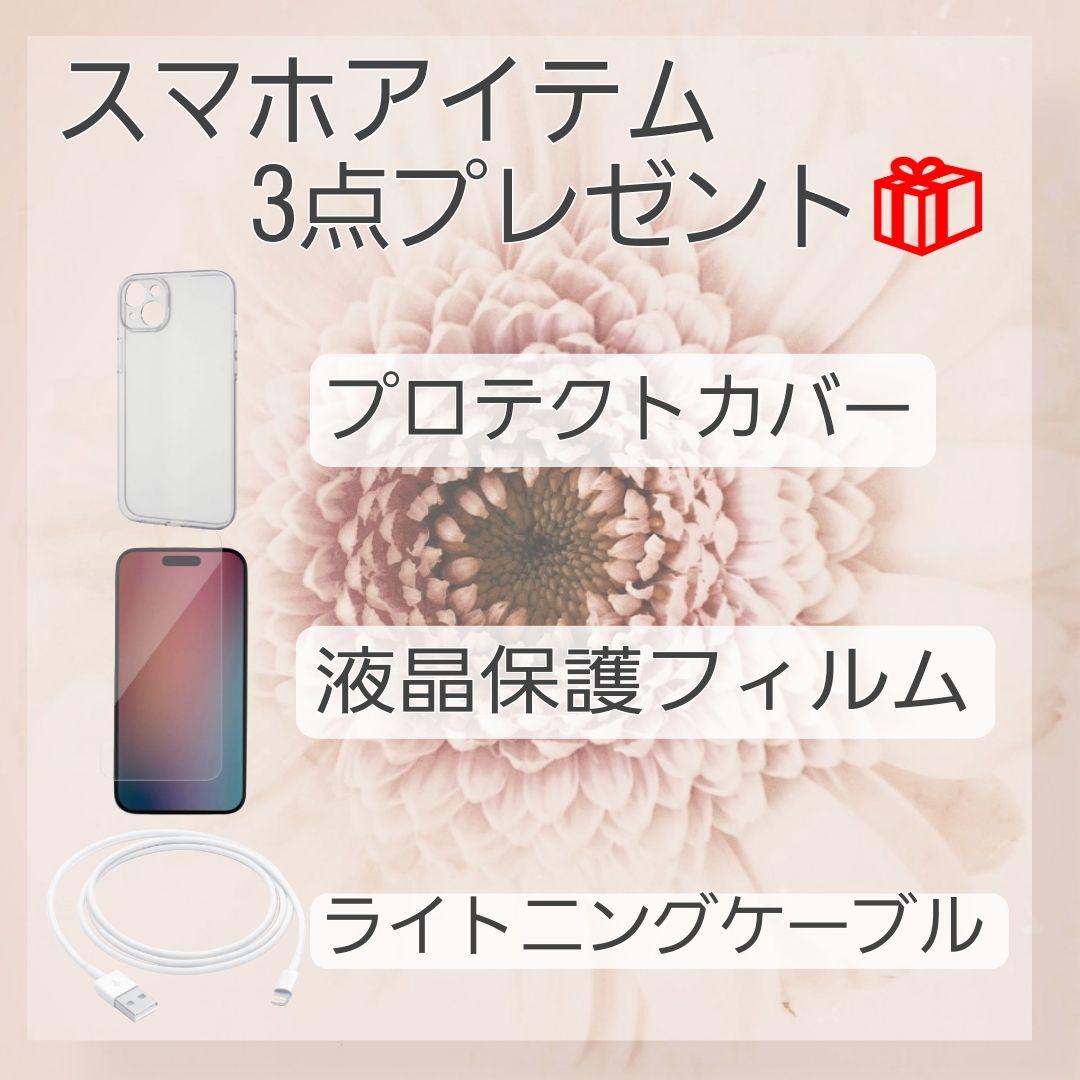 iPhone 12 mini 128GB SIMフリー 新品バッテリー100%