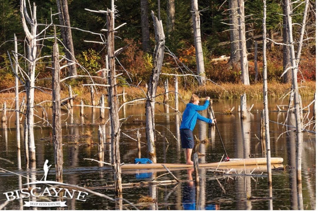 BicSports Earth SUP / Biscayne 12'6 とパドル
