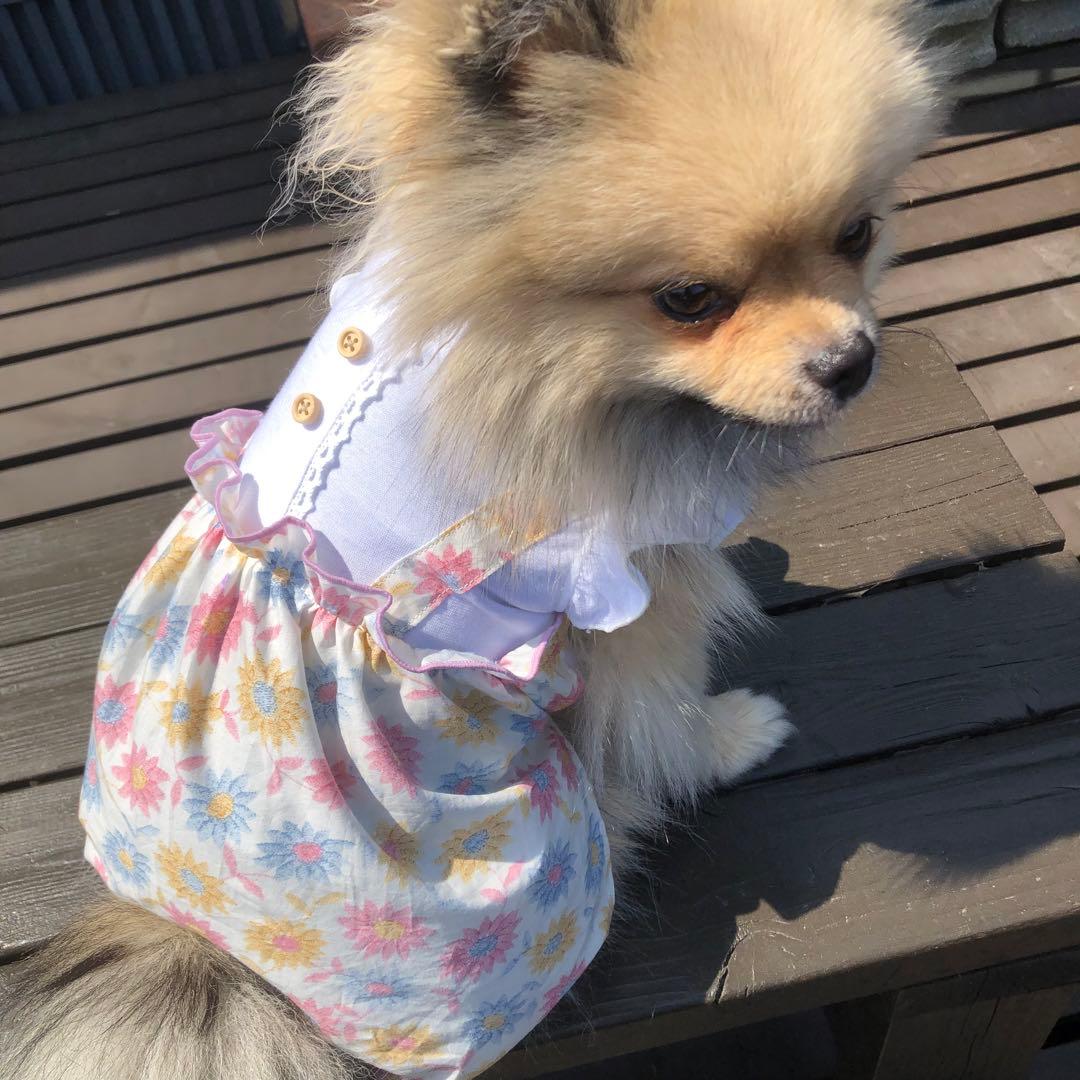 ラストSサイズ以下1着 ハンドメイド　ワンピース　オーダー小型犬
