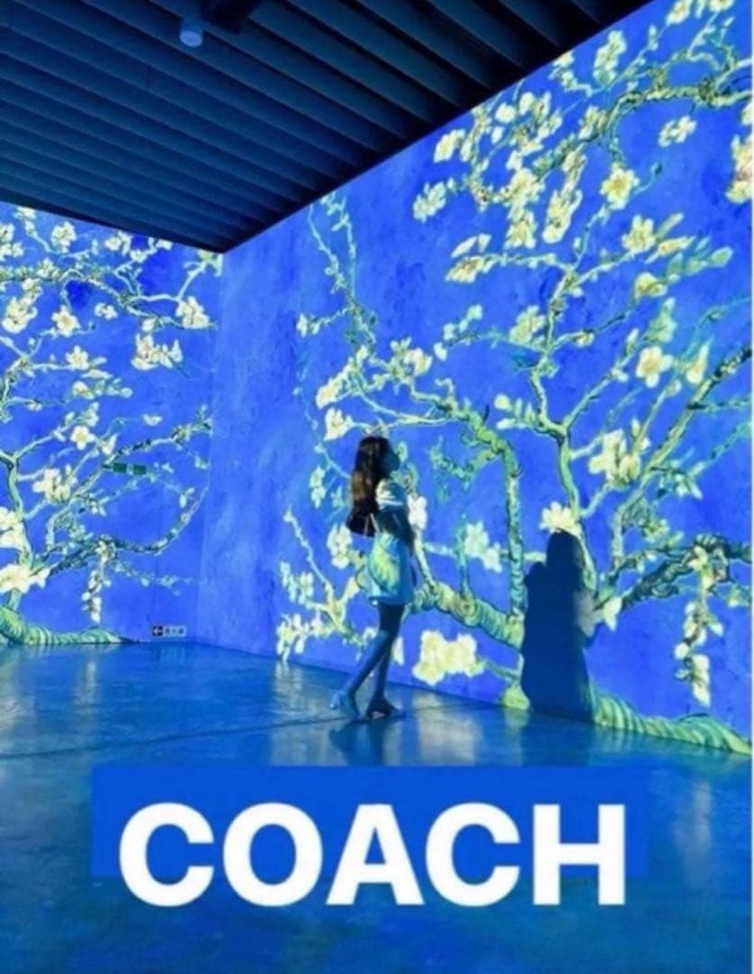 COACH長財布レインボーマルチカラーシグネチャーホワイト白ストラップ付.新品
