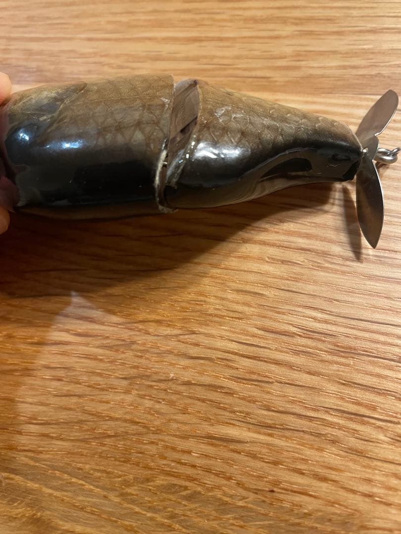 ※早い者勝ち※ブッチギル剥製魚銀皮カスタム（フナ）　mpb ktw 痴虫ミッテル