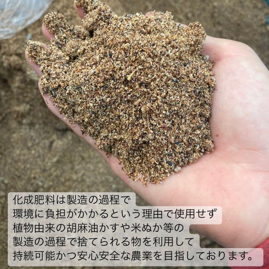 【8/8-8/11まで】夏のお茶5種類飲み比べセット(計40個入り)