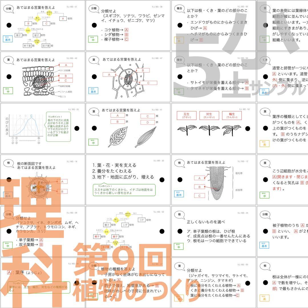 中学受験 暗記カード【5年上 社会・理科11-19回】予習シリーズ 組み分け対策