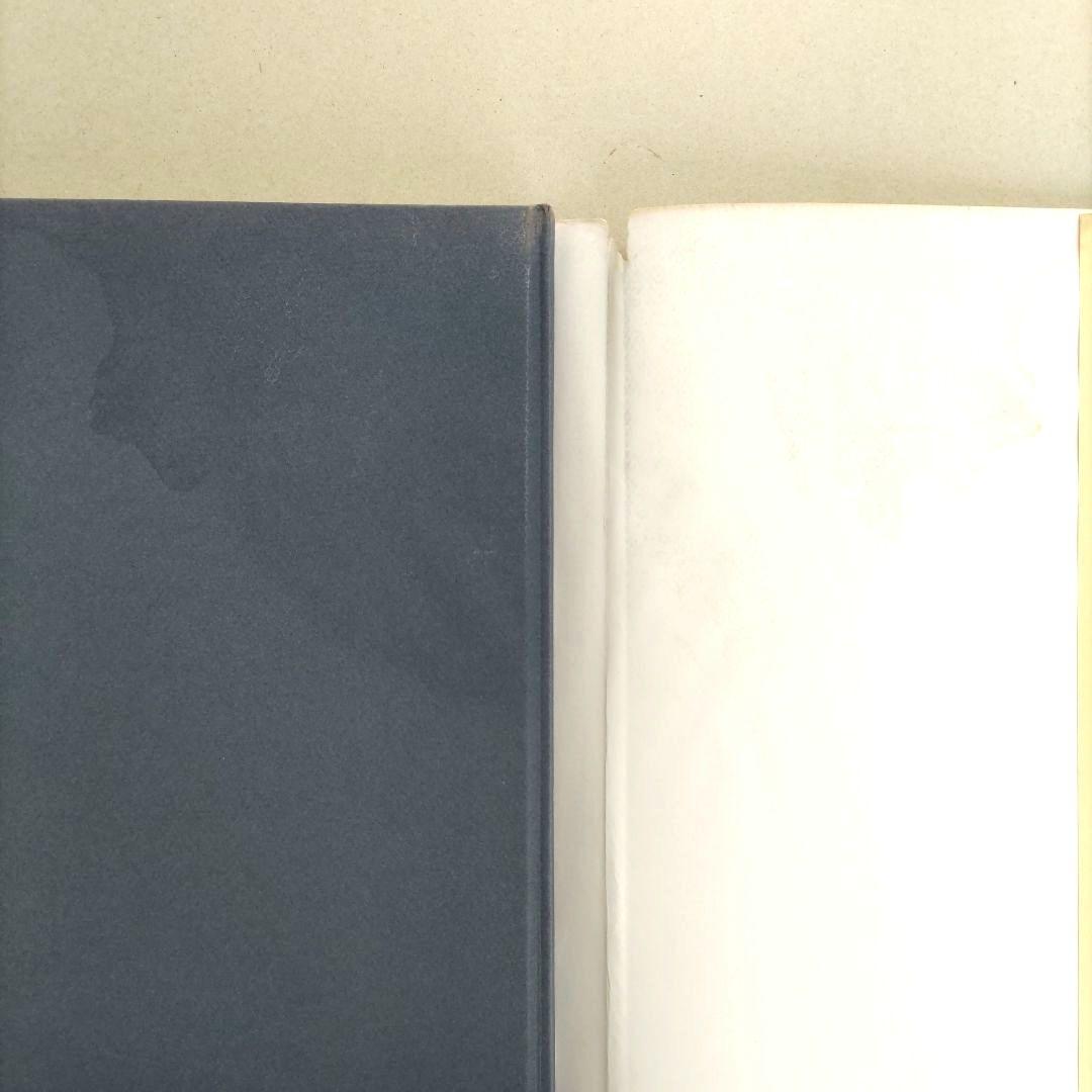 Horst Janssen/ホルスト・ヤンセン 作品集 絵画 アート 洋書
