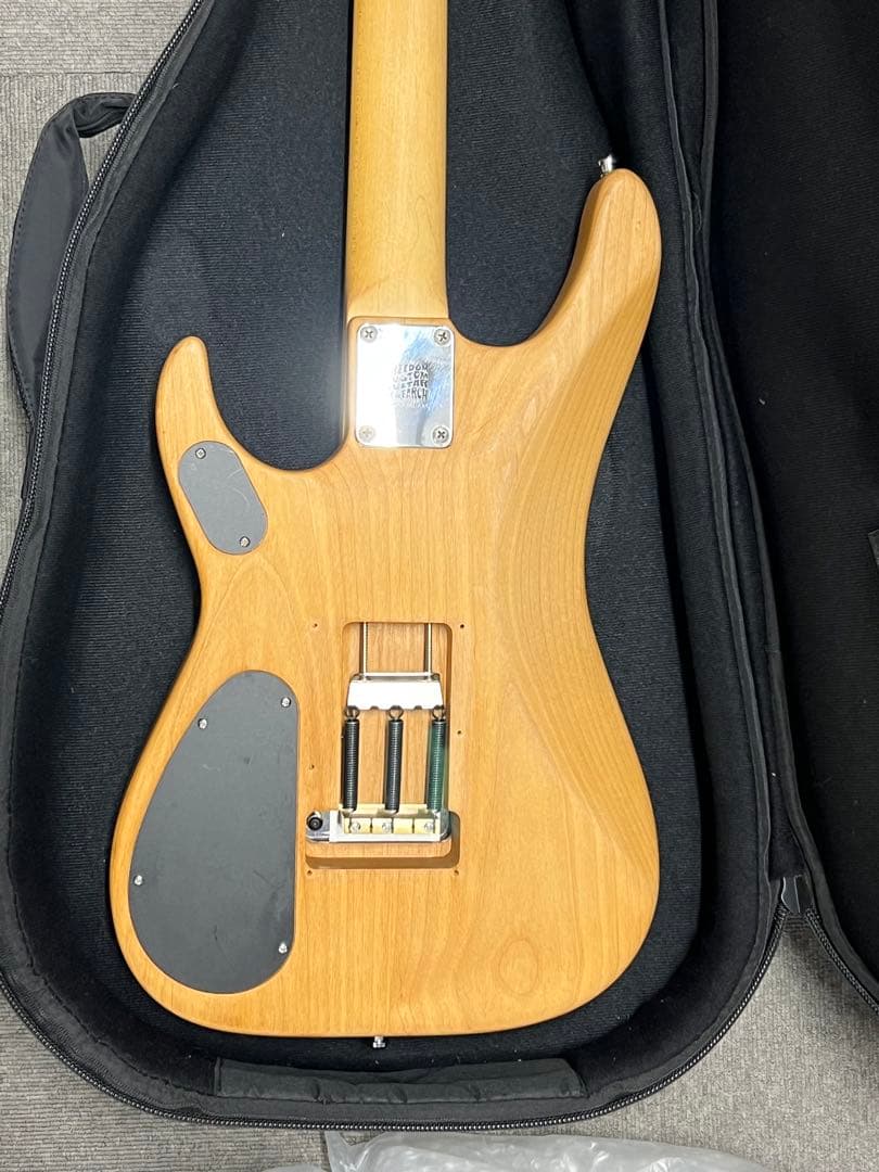 Washburn N2 1991年日本製Mod