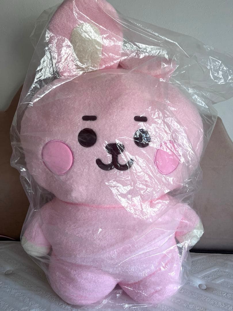BT21＊たっとん EX-Lサイズ ぬいぐるみ cooky
