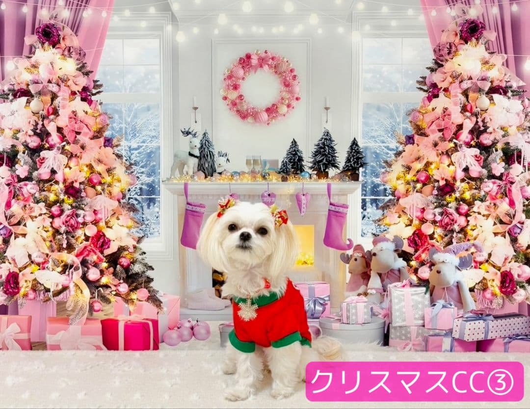 縦長　背景布×8+1　ペット撮影用ブース　トリミングチョーカー販売中　クリスマス