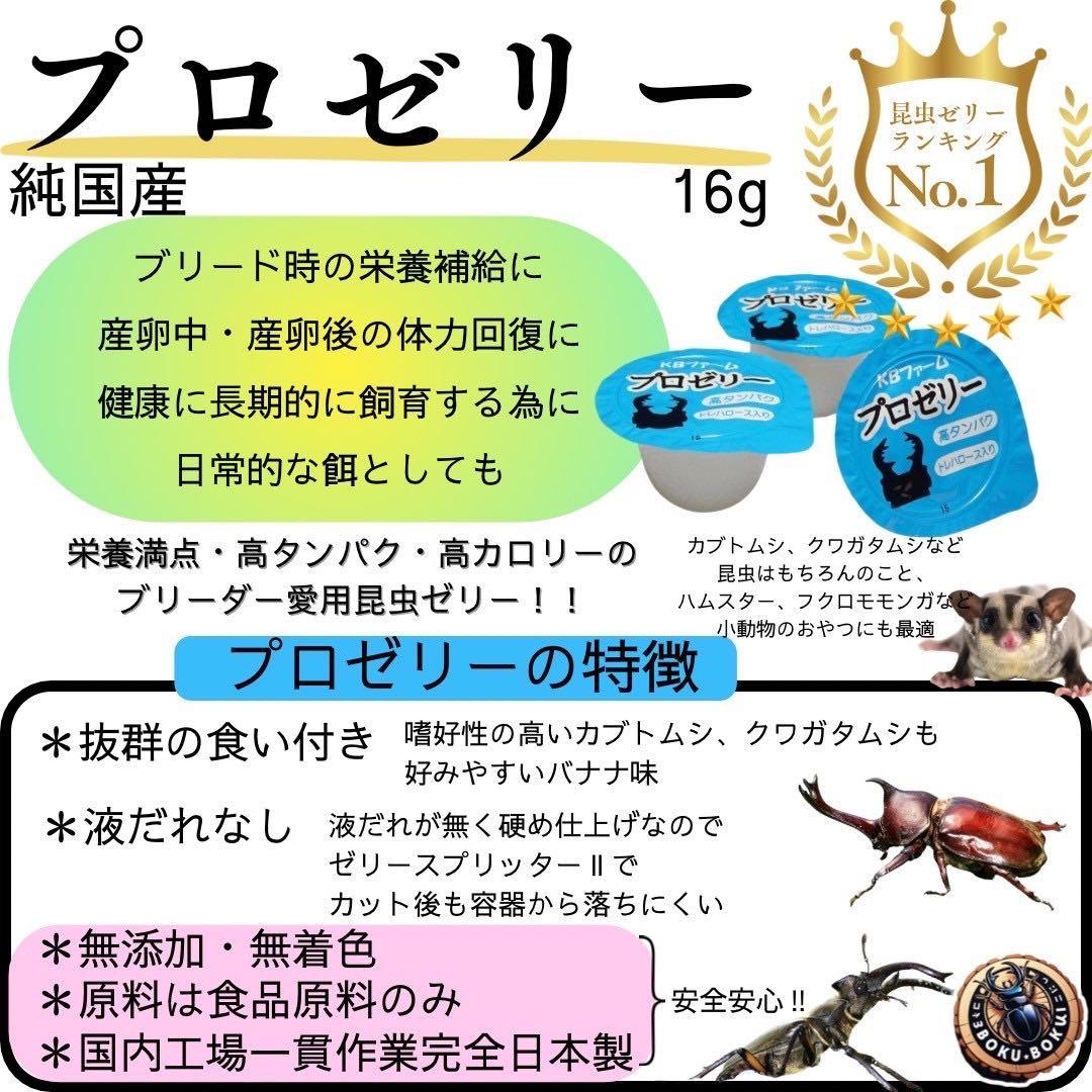 国産プロゼリー1500個KBファームカブトムシ　クワガタinsect jelly
