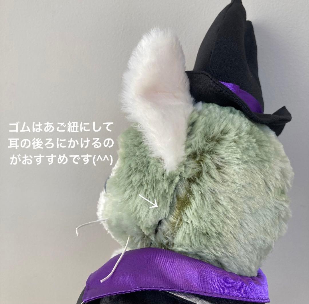 ぽぽ 