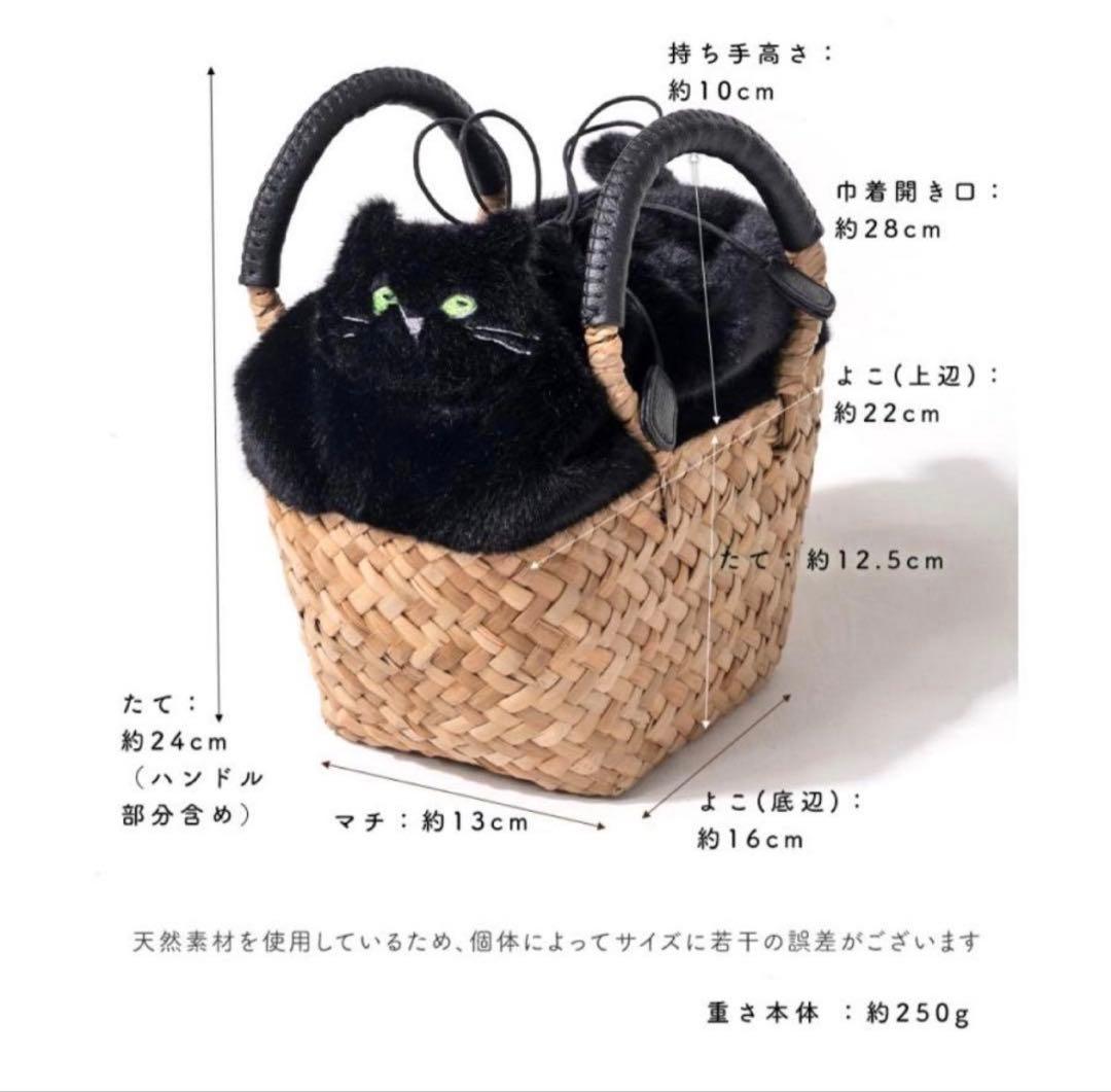 HAYNI猫バッグ