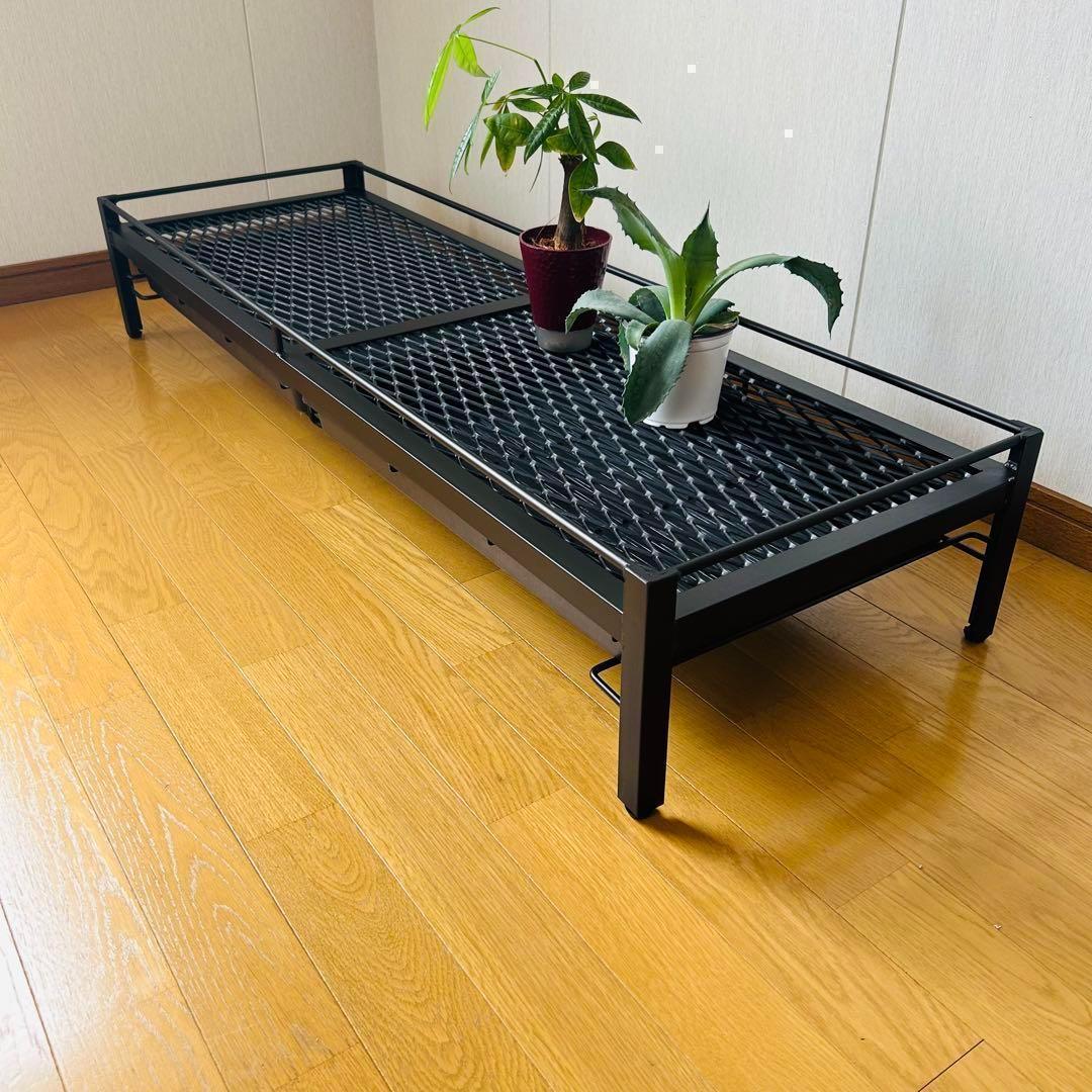 新春セール　植物棚　シェルフ　アガペラック 124cm x 41cm