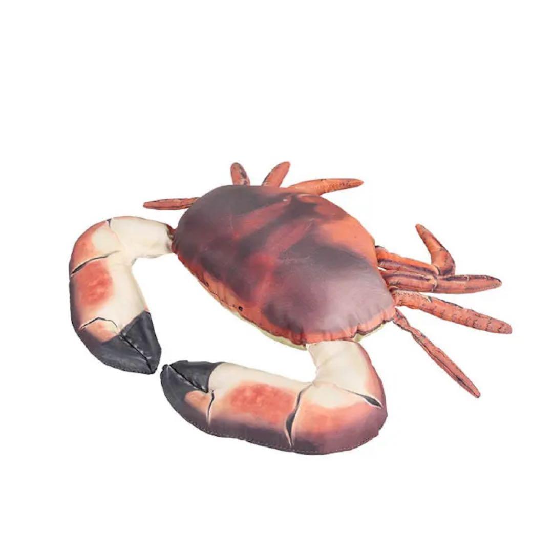【DULTON】FISHES PIKE 195、BROWN CRAB 25セット