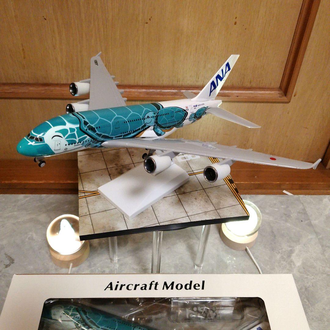 ●Air-bus A380 ／ Flying Honu ／グリーン カイ君