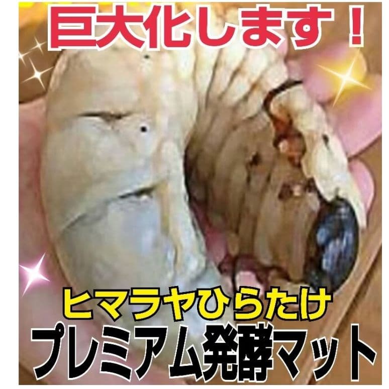 たっぷり！50リットル☆極上！プレミアム3次発酵カブトムシマット☆特殊アミノ酸入