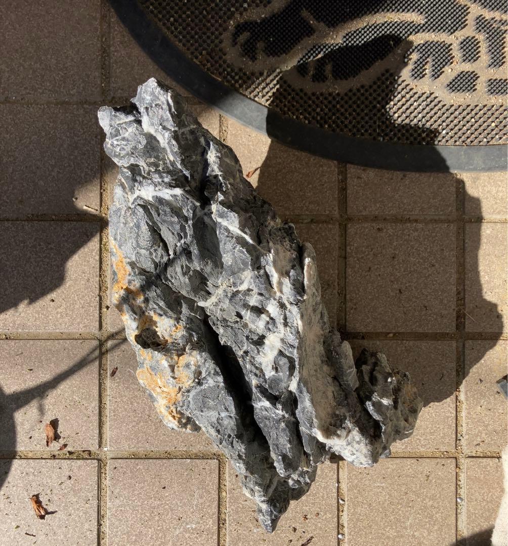 龍王石　ADA アクアリウム　特大　親石　石組レイアウト　水草　水槽