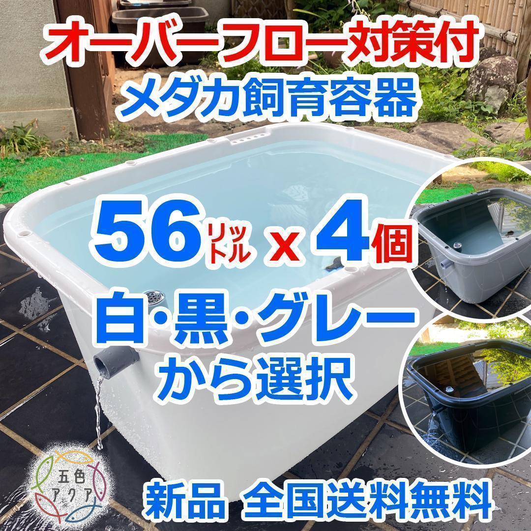 メダカ飼育ケース 56㍑x4個 白黒灰あり オーバーフロー 金魚飼育容器 睡蓮