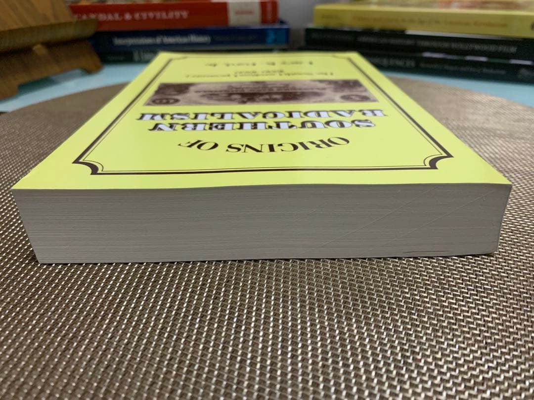 洋書 SOUTHERN RADICALISM Lacy K. Ford, Jr.