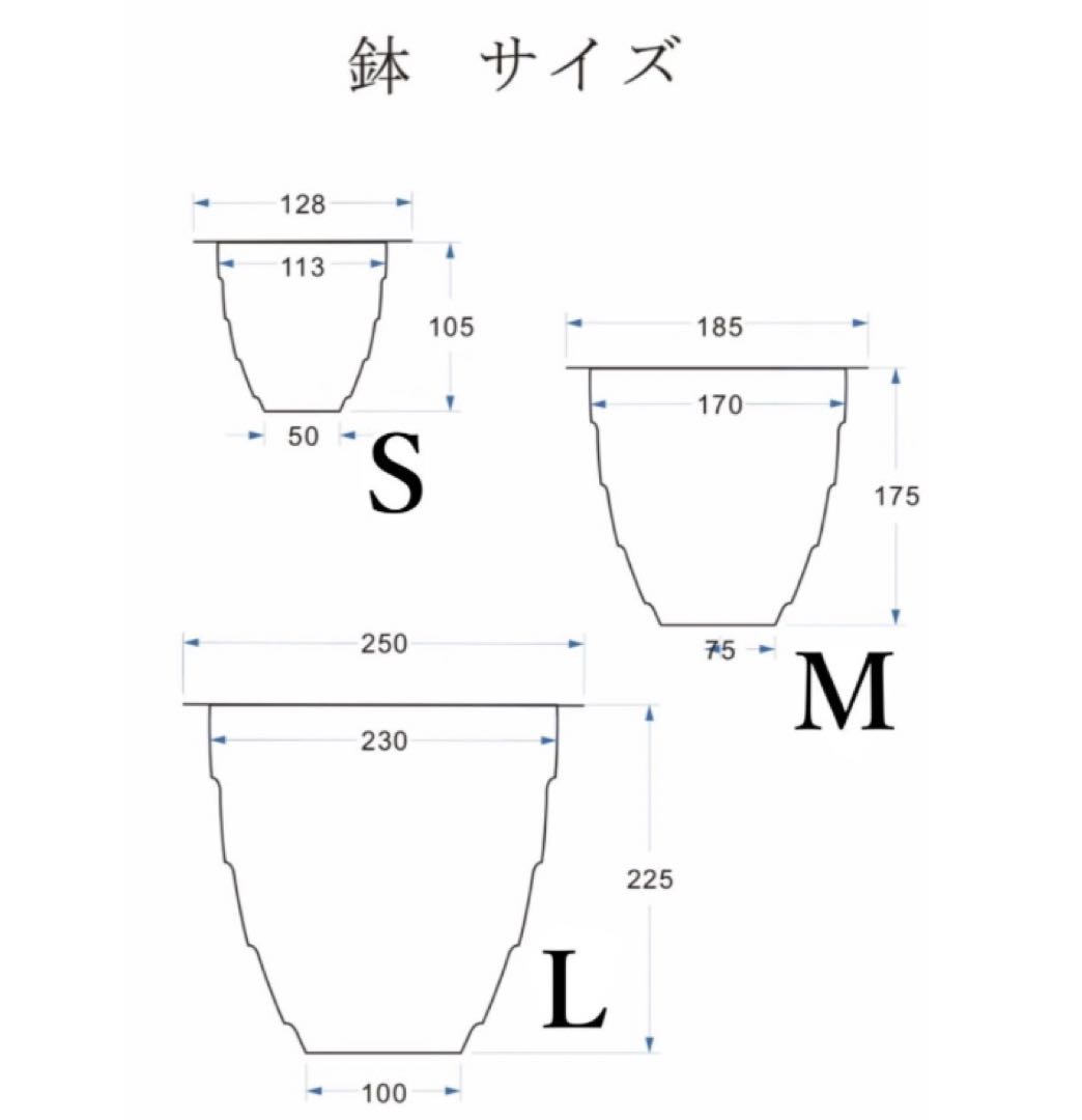 Masses マシス type1 Iron