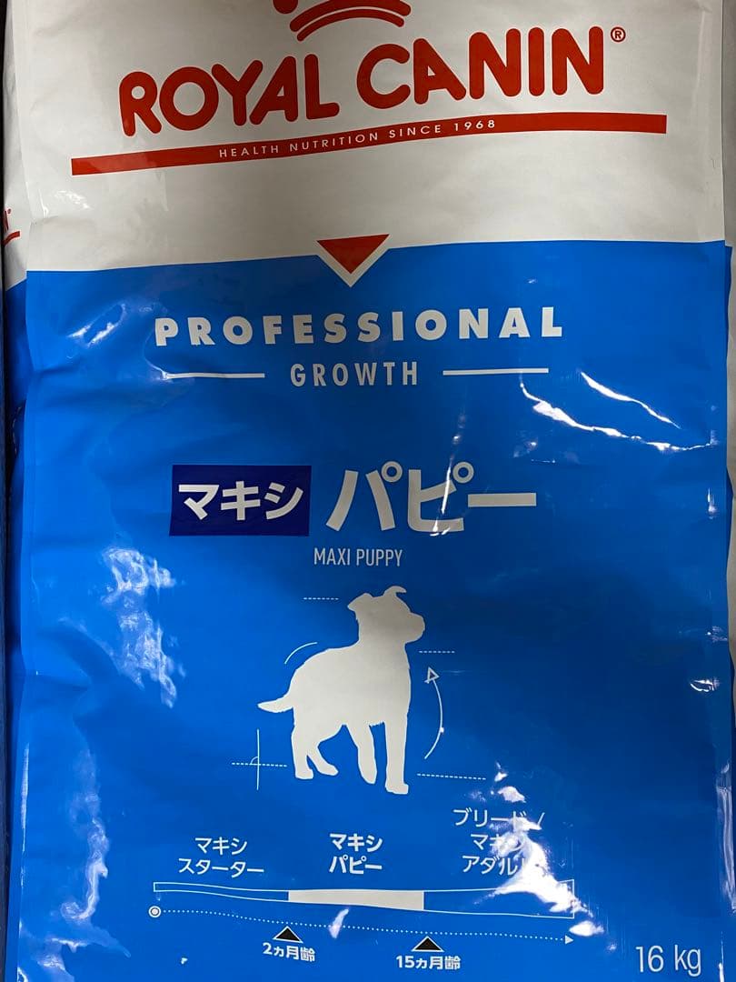 その他 gustave