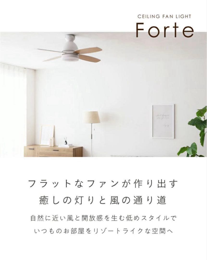 VENTOTA シーリングファン ライト シーリングライト ForteNA